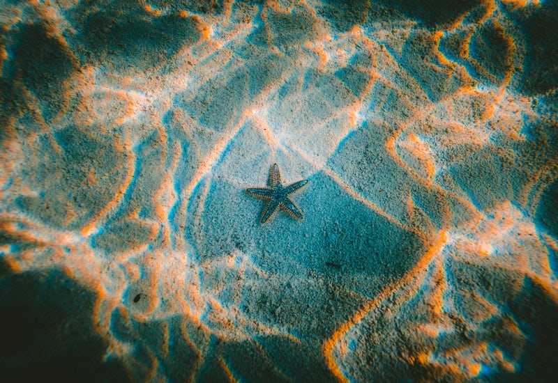 étoile au fond de la mer