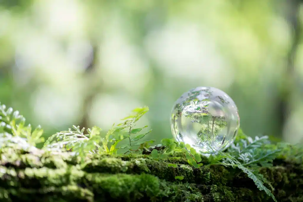 Globe de cristal reflétant la forêt, représentant une vision durable en affaires.